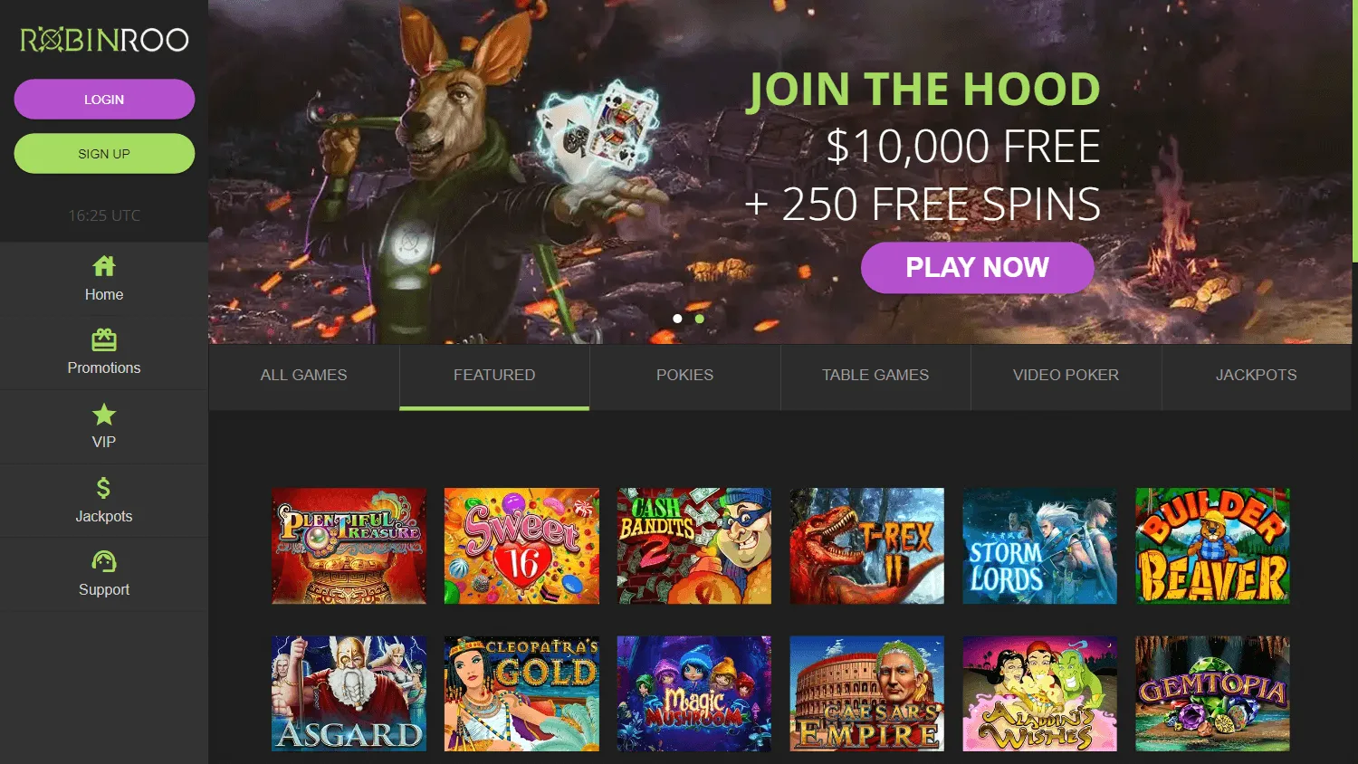 Robinroo Casino RTG games on desktop